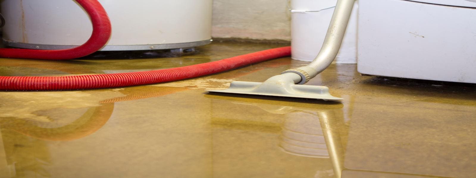 Flooded Basement Cleanup in Hersham